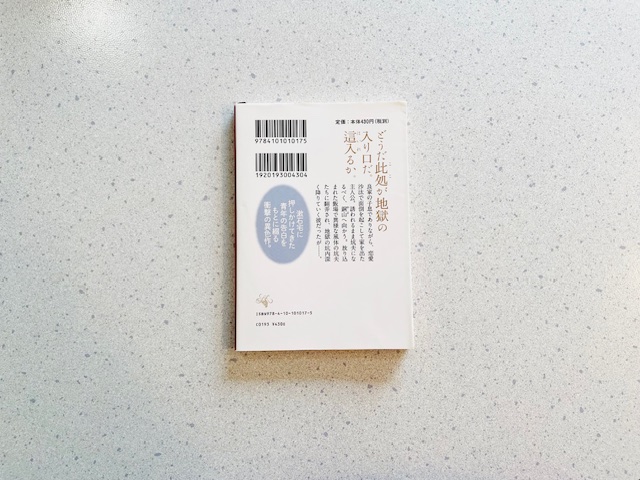 文庫本の裏表紙のあらすじパターン